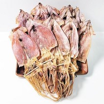 해진 울릉도 건오징어(소)20미(700g), 단품