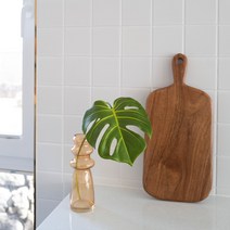블루밍앤미 몬스테라 leaf, 단품
