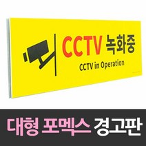 대형 포맥스 포맥스 안내판 CCTV녹화중 포맥, 단품