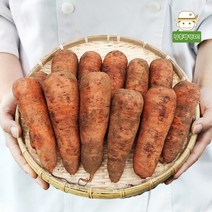 [삼촌농장] 22년 햇 수확 제주 흙 당근 2kg 3kg 5kg 10kg, (상)3kg