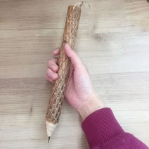 자이언트 통나무 볼펜, 1개