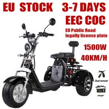 전동 스쿠터 citycoco 최대 부하 250kg 성인 전기 3륜 1500w 모터 최대