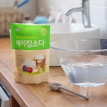 생활홀릭 베이킹소다 800g 천연 설거지 주방세제, 1개