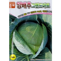(씨앗) 그랜드마트양배추 - 결구력이 좋은 양배추 씨앗 종자 - 소포장 - 500립