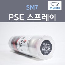 르노삼성 SM7 PSE 플래티늄실버 순은색 11 스프레이 자동차 차량용 카 페인트, 1개, 200ml