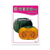 모칸도 제일 맛좋은단호박 10립