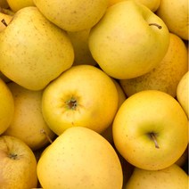 시나노 골드 사과 황금사과 노란사과 2kg 3kg 5kg, 1박스, (가정용-못난이) 중대과 6-9과 / 3kg