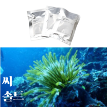 리필용 차량용 석고 고체 방향제 블랙체리 복숭아 비누향 디퓨저, 씨솔트