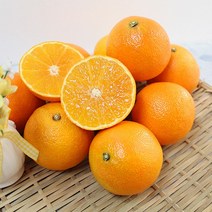 제주명품 [제주명품] 제주 황금향 3kg(10-12과), 1