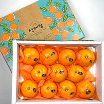 새해 맞이 레드향 천혜향 3KG, 1박스, 선물용 천혜향 3KG 11~15과