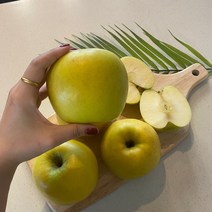 시나노 골드사과 스위트 홍로 경북 황금사과 5kg, 1개, 가정용 5kg(중소과19~21개)