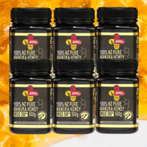 100% 마누카꿀 MGO 550 UMF 16 500g 1병 SPH 뉴질랜드산, 마누카꿀 500g 6병