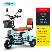 전동 삼륜 세발 오토바이 소형전기차 출퇴근스쿠터 노인 모터 골프카 배달용 바이크, 48V, 10A배터리수명약40km(부드러운녹색)