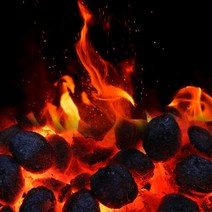 불멍 캠핑 3초점화 야자숯 1.2kg 강원도 차박 장작