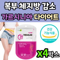 뱃살다이어트 윗배빼는법 내장지방커팅제 가르시니아 생선콜라겐 비타민B군 녹차 먹으면서다이어트 지방분해제 다이어트시작 아내 출산후 생일선물 복부 윗배
