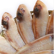 군산 박대 서대 중 30cm내외 9미