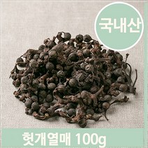 푸들 건조 헛개나무 열매 100g 지구자 말린 약재 영양 한방 (7564018), 기본