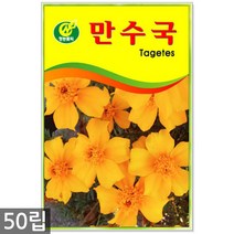 공작초 30립 - 공작초씨 공작초씨앗 씨앗 꽃씨 꽃씨앗, 08_청농_만수국(50립)