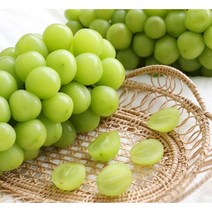 달콤탱글 하우스 샤인 머스캣 망고포도 가정용 2kg 4송이 안전포장(재활용박스사용), [가정용] 2kg 4수