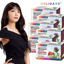 홀리데이즈 비타민B군 1000% 간건강 실리마린 밀크씨슬+ x 6박스 (총6개월분), 단품, 단품