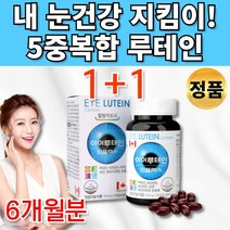 5중 복합성 식약처인증 루테인 베타카로틴 빌베리 류태인 뉴테인 로테인 루태인 루데인 마리골드 수입 망막 뻑뻑 피로 눈 건강 도움 20대 30대 40대 50대 60대 중년 영양제, 2통