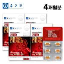혈행 개선 영양제 나토키나제 30정 낫토 낫또 키나제 피브린 용해 효소 2400FU, 4개