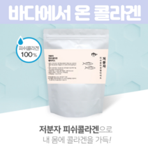 저분자 바다 피쉬 Fish 어류 콜라겐 펩타이드 Peptide데일리 남성 콜라겐 여성 임산부 이너 뷰티 1000Da 달톤 Collagen 먹는 분말 가루 파우더 170g, 170g  X 2개