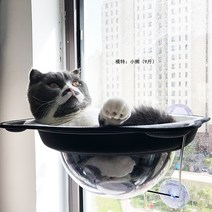 UFO 고양이 창문 투명 해먹 햇빛쬐기 침대 캣해먹 CAT, C색상