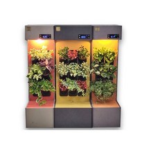 워터링진생팜 새싹인삼 수경재배기 반려식물키우기 인테리어식물 미니2(9구)