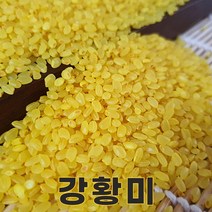 밥보야 22년산 강황미 강황쌀 강황밥 1kg 기능성쌀, 1개