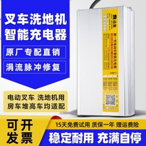 지게차 충전기 전동 바닥 세탁기 스태커 리프트 12V24V15A20A 관광 자동차 배터리, 16.24V20A 유지 관리가 필요 없는 배터리 악어