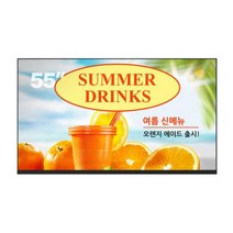 55인치 디지털사이니지 CDS5520 광고용모니터 서울/경기/인천:CDS5520 단품, 모델명/품번