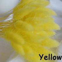 베리앤굿 3050pcs 미니 Babysbreath 신선한 말린 보존 꽃 작은 자연 꽃다발, yellow-50pcs