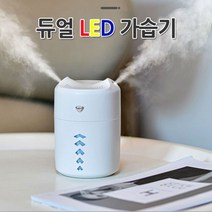 양방향 듀얼 LED 가습기 저소음 선풍기 타이머 무드등, LED듀얼usb가습기-블루스카이