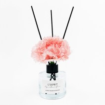 레스쁘리 디퓨져 로즈팝 카네이션 대 핑크 120ml 디퓨저, 피치, 1개