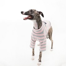 [펫디자인] 뉴심플ST티셔츠 4colors 대형견옷 중대형견옷 강아지옷, GR핑크