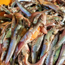 기장 멸치액젓 5kg 10kg 20kg 김장 김치 국물요리 봄철 알배기, 멸치액젓5kg, 1개