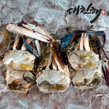 대천해2 국내산 손질 절단꽃게 350g 2팩