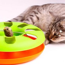 토이거 고양이장난감 디스크 볼 캣토이 스트레스해소 애완용 펫, 1개