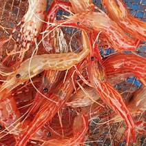 활 독도새우 새우 꽃새우 닭새우 -인증, 활 독도새우 500g