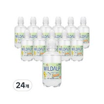 와일드알프 주니어워터 250ml 24개 one option