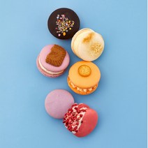 sixweets 식스위츠 마카롱 뚱카롱 48gX6 A세트, 1세트