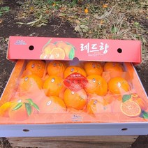 제주농장 프리미엄 고당도 레드향 가정용 제주직송 2kg 3kg 5kg, 5kg(15-19과)