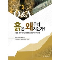 Q&A 흙은 왜 무너지는가:기본을 통해 배우는 법면 방호와 옹벽 대처요령, 씨아이알, Nikkei Construction 편저/백용,장범수,박종호,송평현,최경집 공역