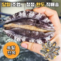 완도 활전복 산지직송 산소포장 살아있는 전복 1kg 14~16미 17~20미, 완도 활전복 1kg (17~20미)