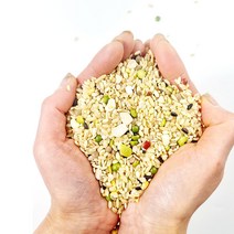 집밥 저당지수 27곡 4kg 5kg. 10kg 20kg 혼합잡곡 식단 진공포장, 1개
