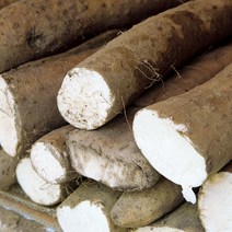 안동 마 생마 장마 5kg, 안동마 알뜰 마 5kg