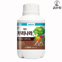 흙닷컴 대유 뿌리나라 300ml 뿌리발근제 활력증진, 단품