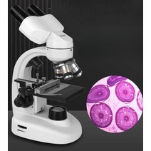 디지털 현미경 미생물 실험실 전자 카메라 구조 미니, 패키지 2/130만 픽셀 전자 접안렌즈