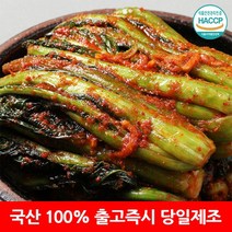 [옐푸드] 100% 국산 전라도 여수 갓김치, 전라도 갓김치 6kg